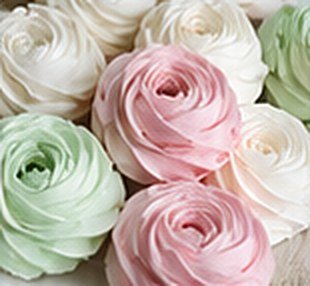Fleurs en zéphyr pastel Fleurs en zéphyr pastel